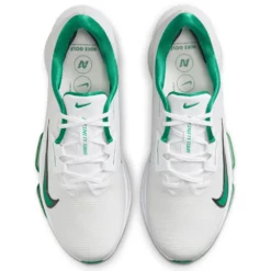 Image of Men's Nike Infinity Tour 2 Malachite Pair