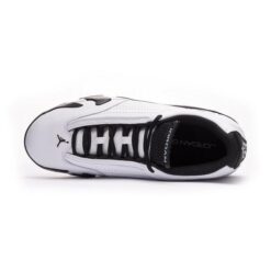 Image of Nike Air Jordan 14 G Golf Shoes White, Green & Black Top