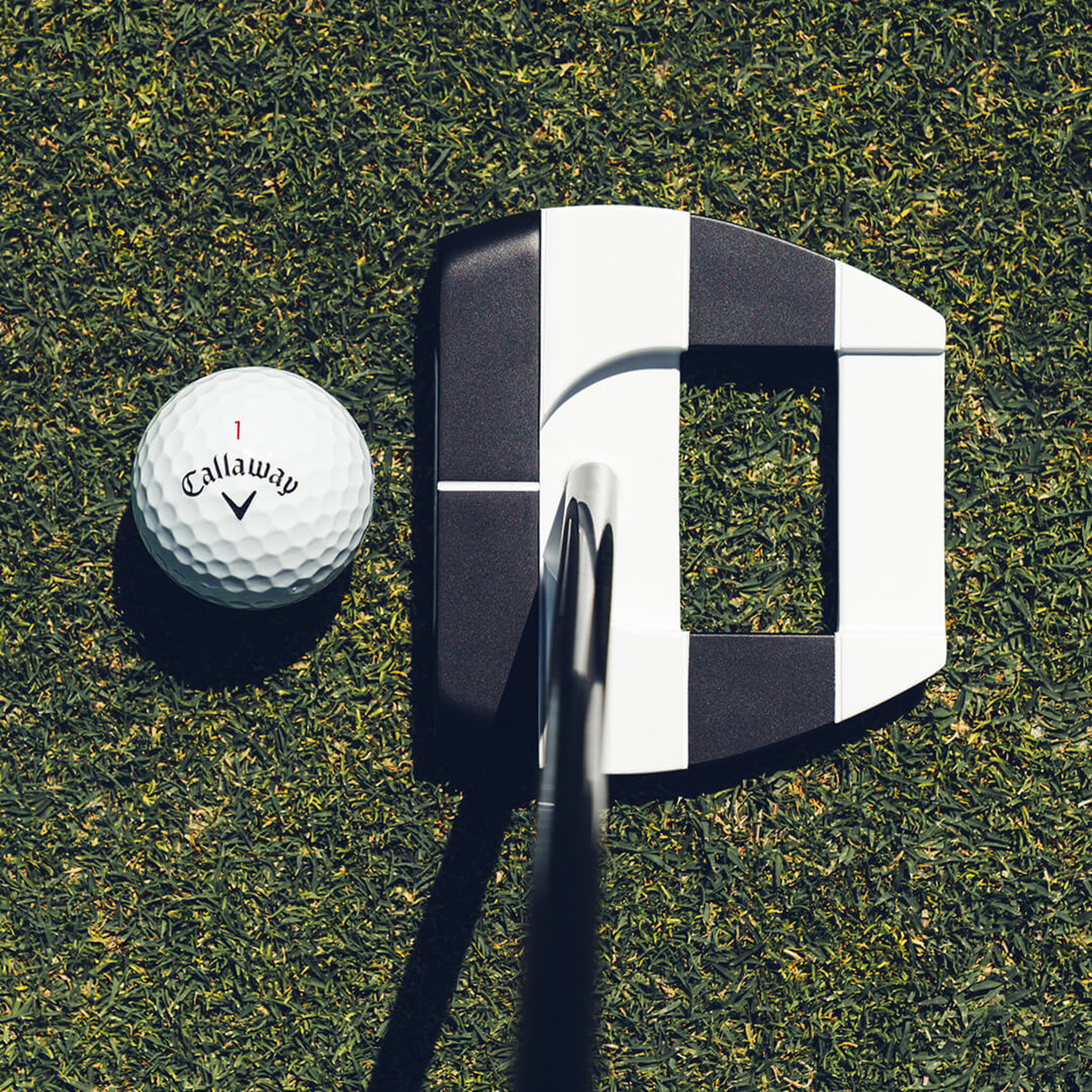 Odyssey Ai-DUAL Square 2 Square Jailbird Putter - Riverside Golf