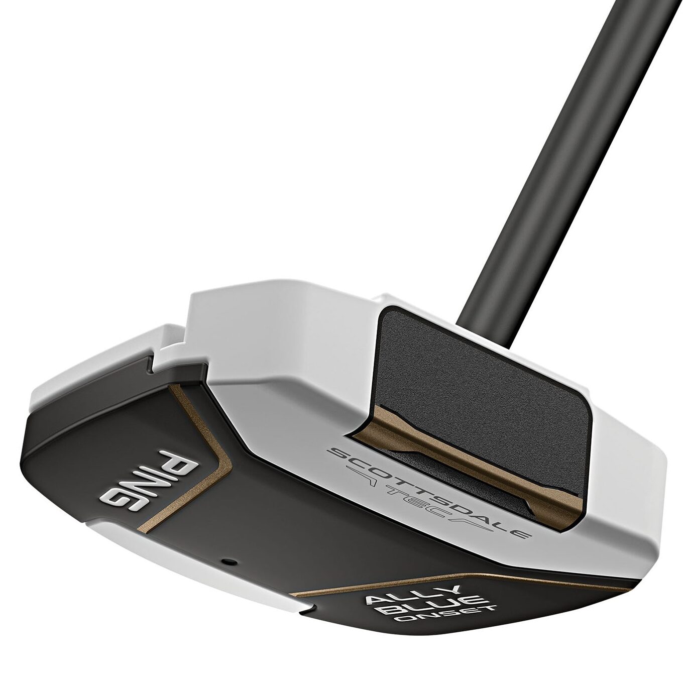 クラブ PING SCOTTSDALE TEC ALLY BLUE ONSET 34in Ping Scottsdale Tec Ally Blue Onset Putter - Riverside Golf - Golf